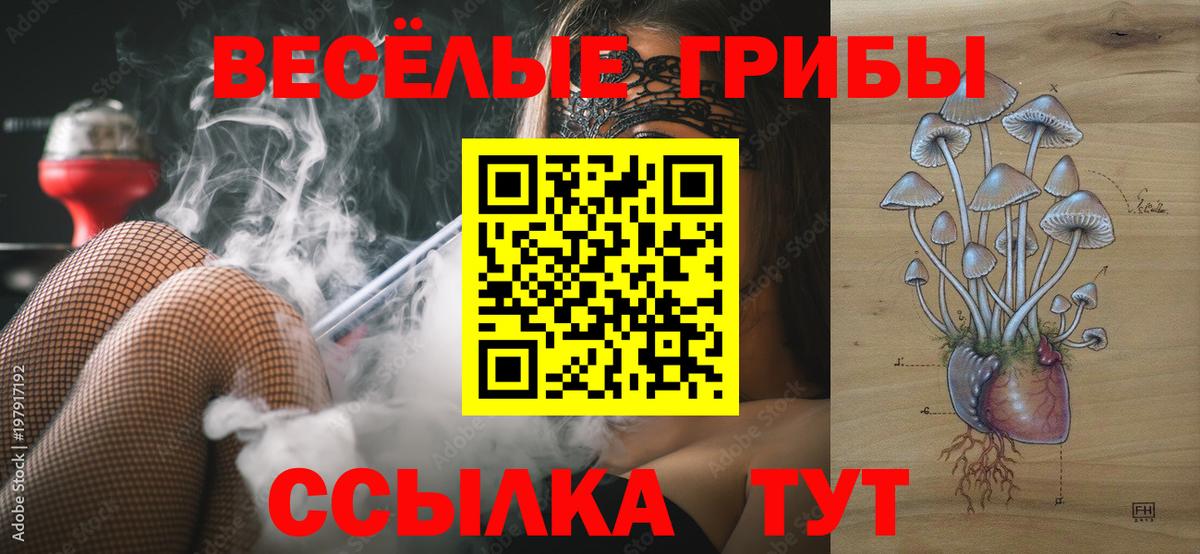 Псилоцибиновые грибы мицелий  Вход с VPN  Железноводск 